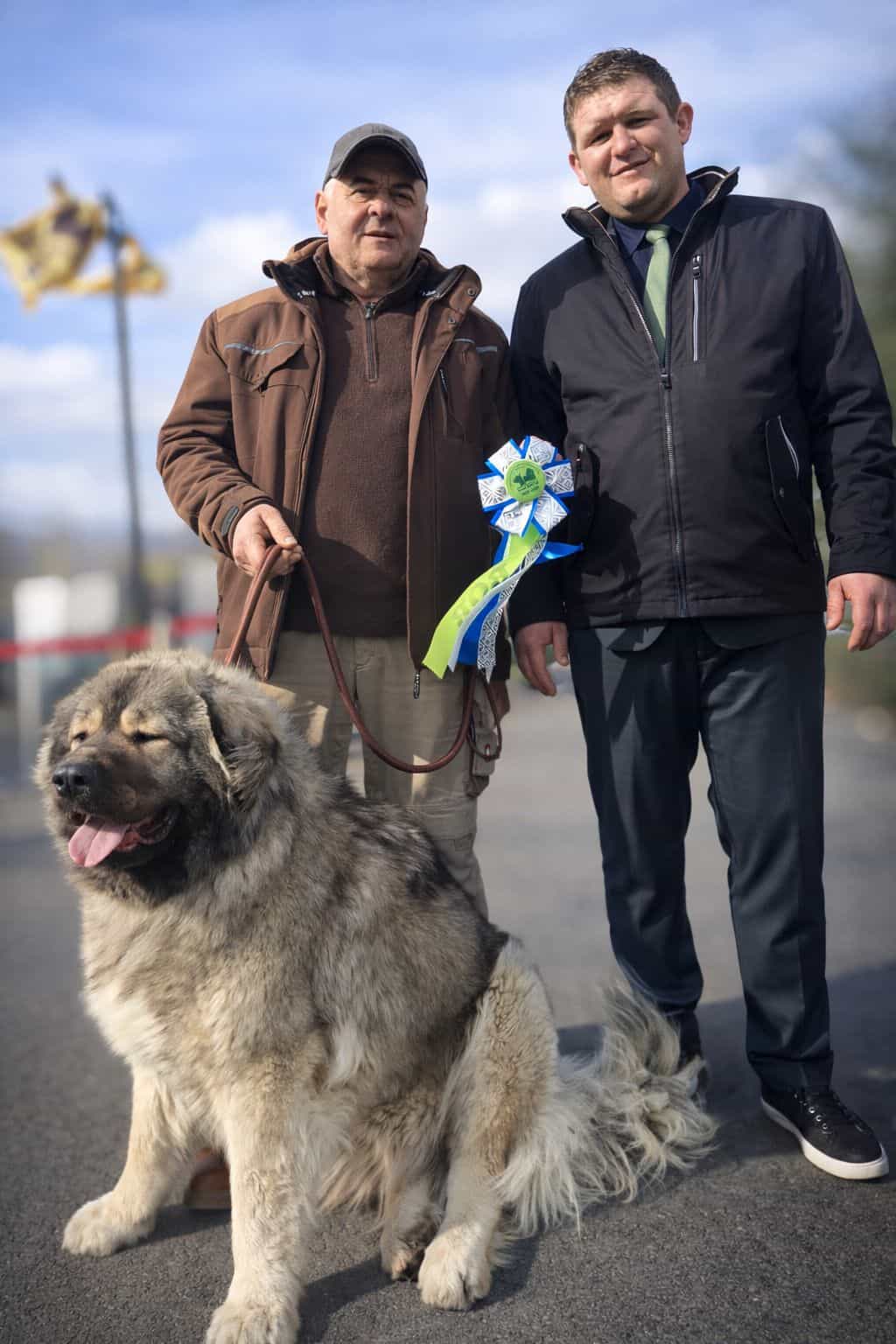 Giant Elbrus Jeni - foto 2