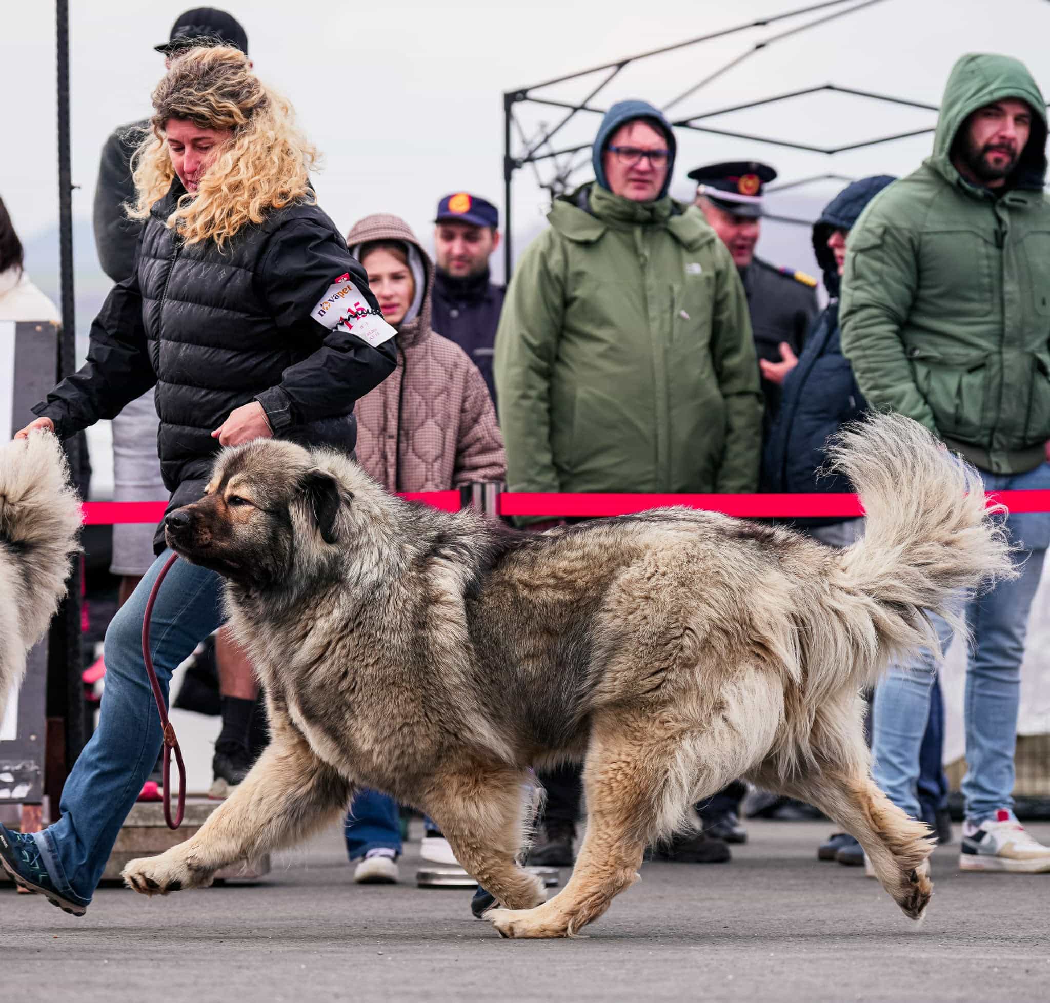 Giant Elbrus Jeni - foto 3