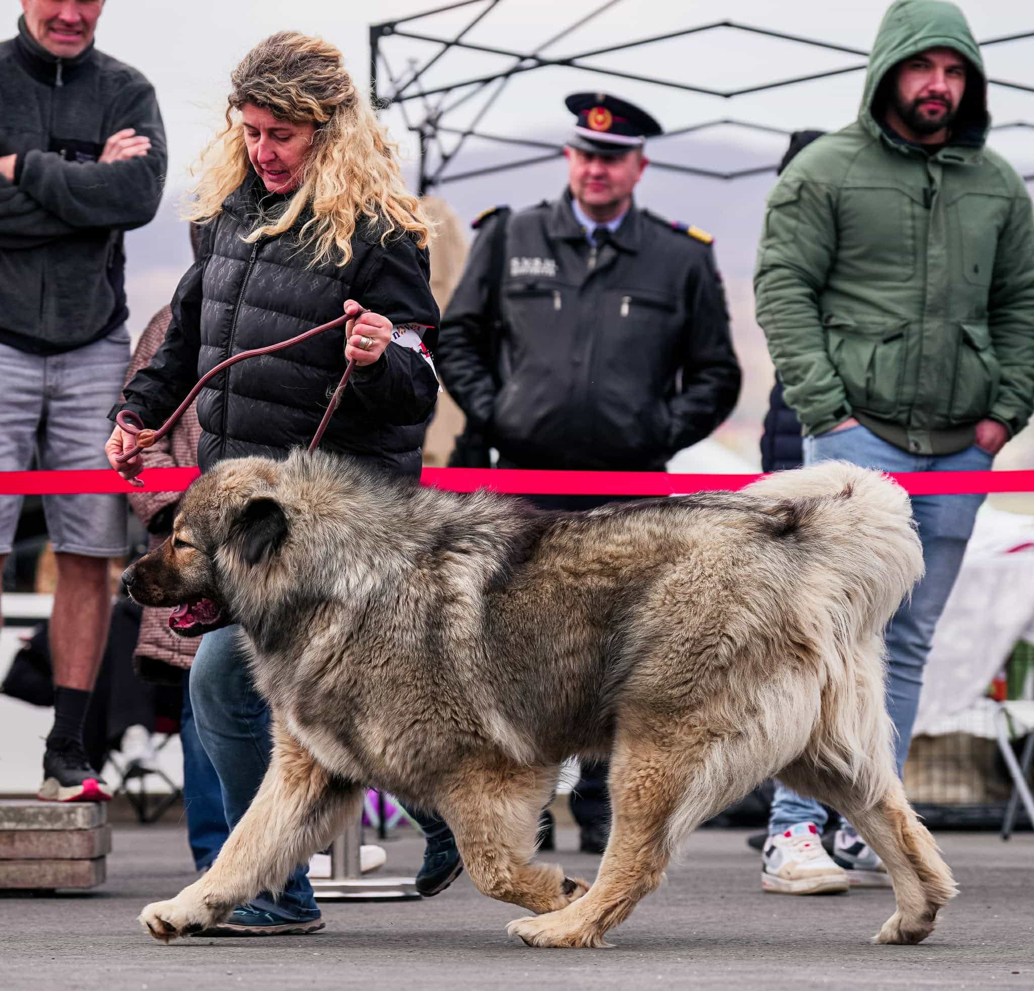 Giant Elbrus Jeni - foto 4