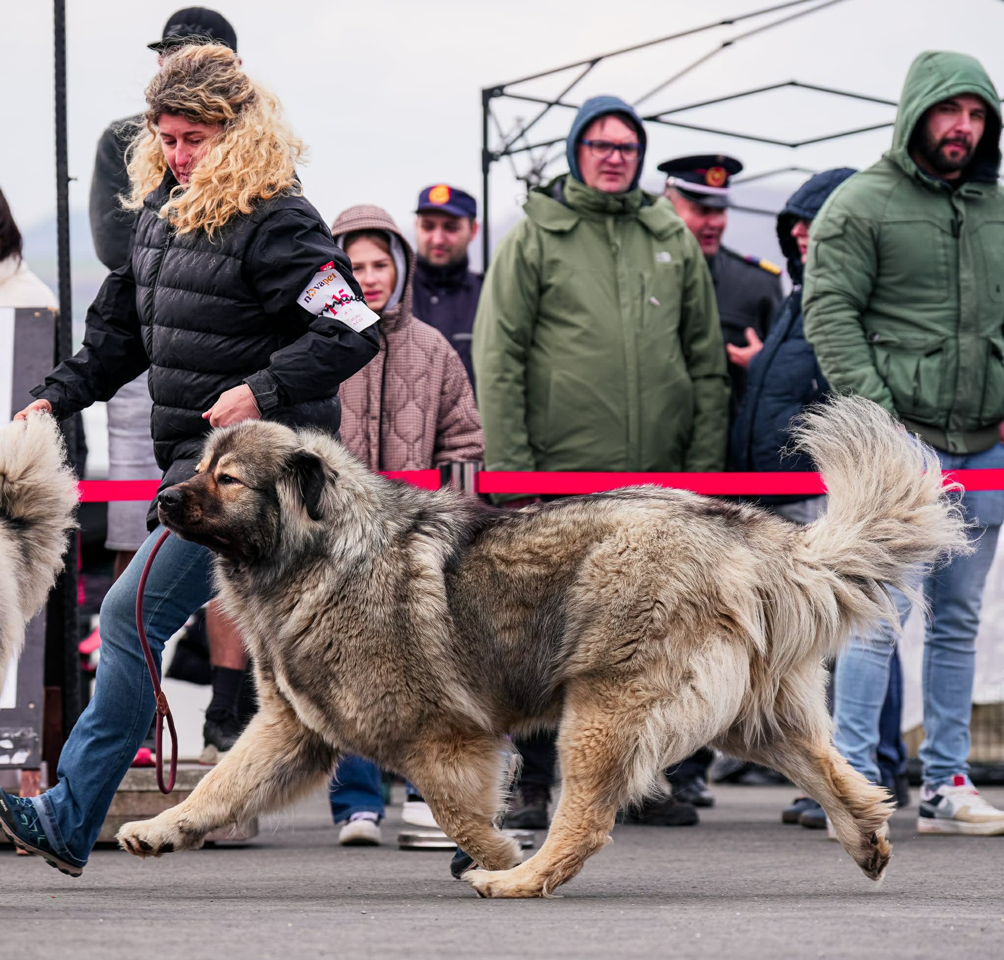 Giant Elbrus Jeni - foto 3