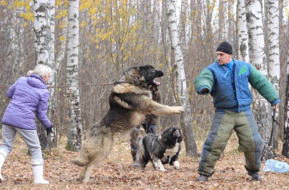 BAIRAK AZSKAS BOETS - thumbnail 4