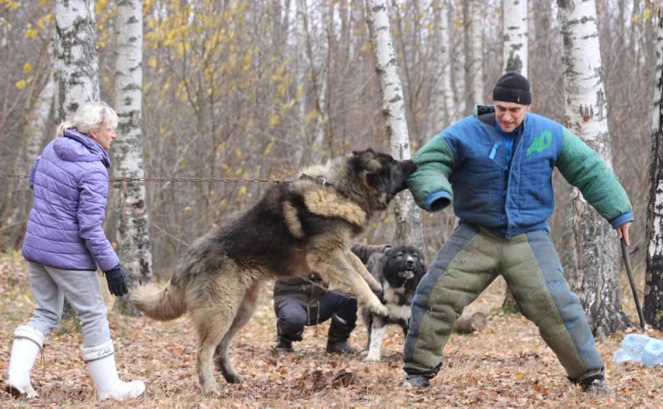 BAIRAK AZSKAS BOETS - thumbnail 5